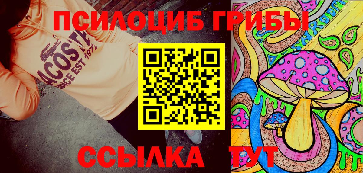 Галлюциногенные грибы GOLDEN TEACHER  купить  цена  Каменка  Вход с VPN  Галлюциногенные грибы прущие грибы 
